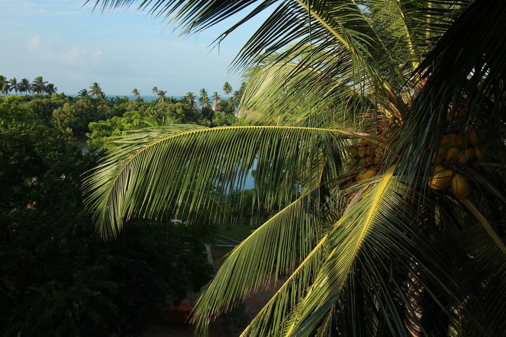 Hideaway Lodge Tangalle Exterior photo
