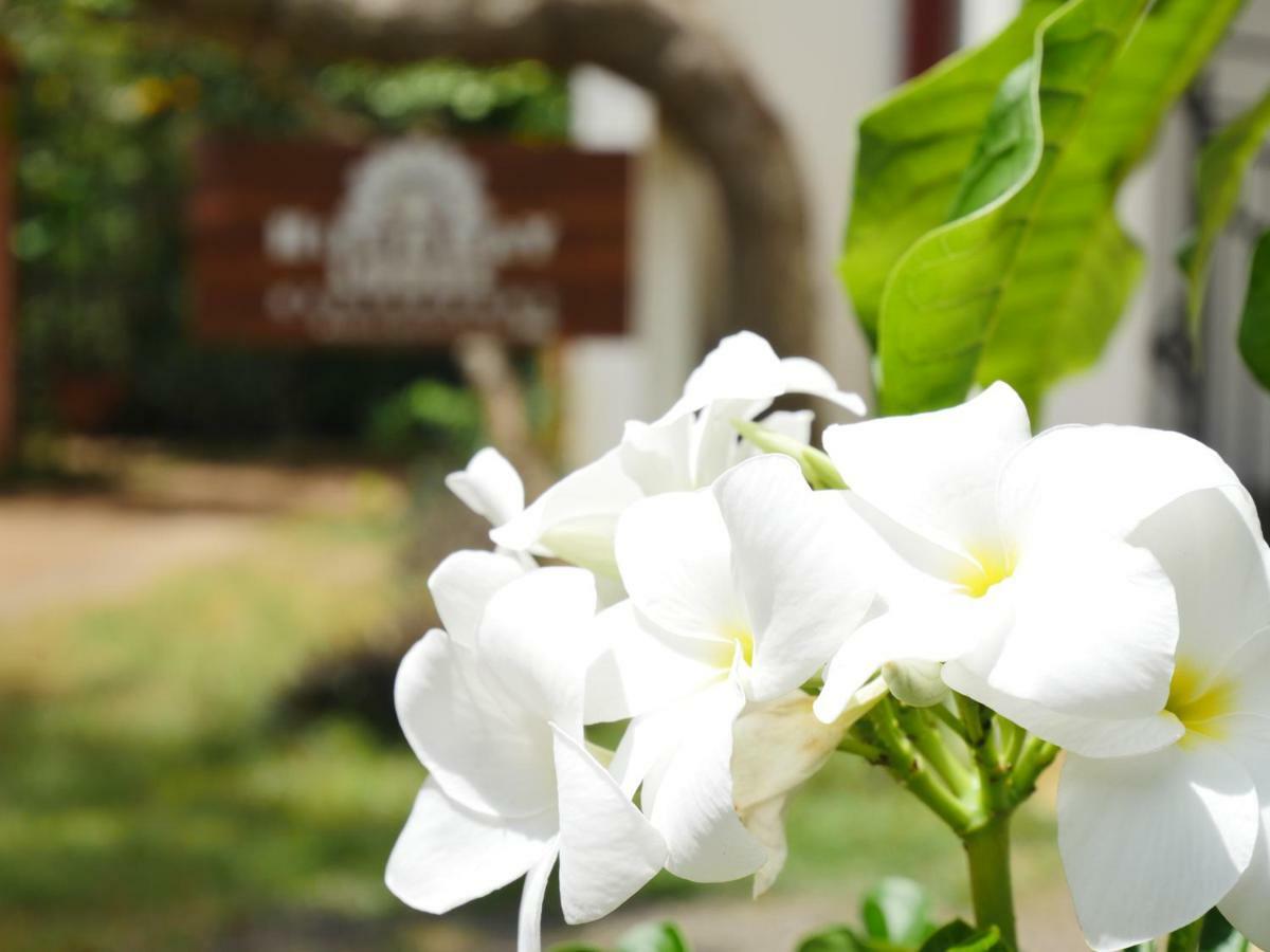 Hideaway Lodge Tangalle Exterior photo